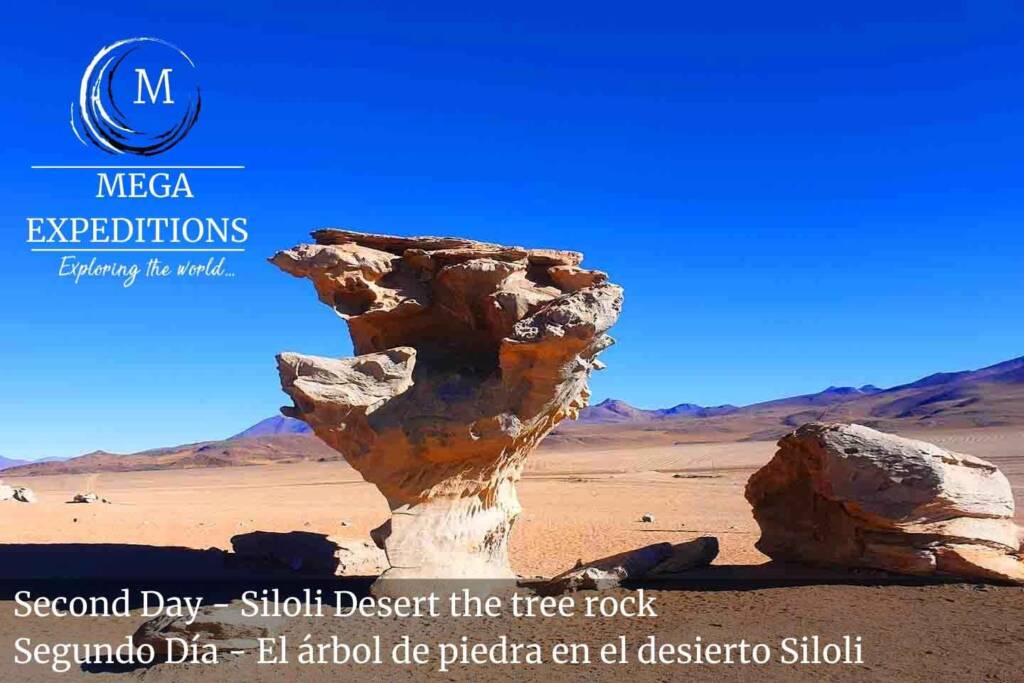 Second Day - Siloli Desert the tree rock in the Salt Flat of Bolivia